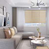 Modern zebra blind double layer indoor roller blinds wholesale for home decoration